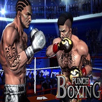 BOXING 3D