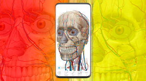 La app de ANATOMÍA del CUERPO HUMANO con ANIMACIONES en 3D